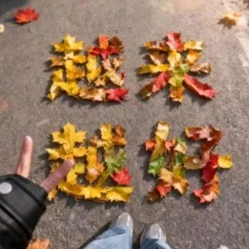 𝙏𝙍𓆩𝐋·李𓆪