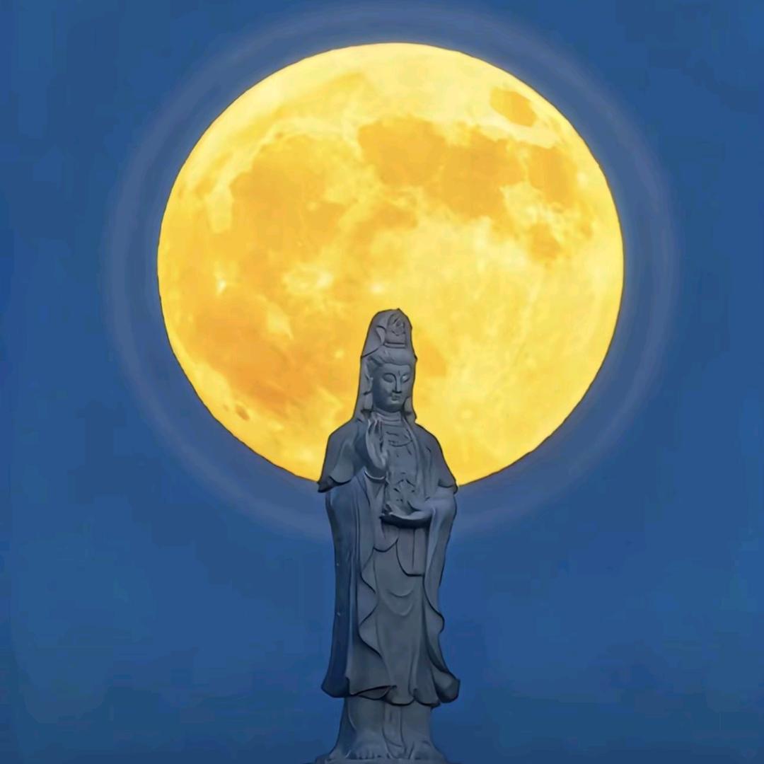 大木木
