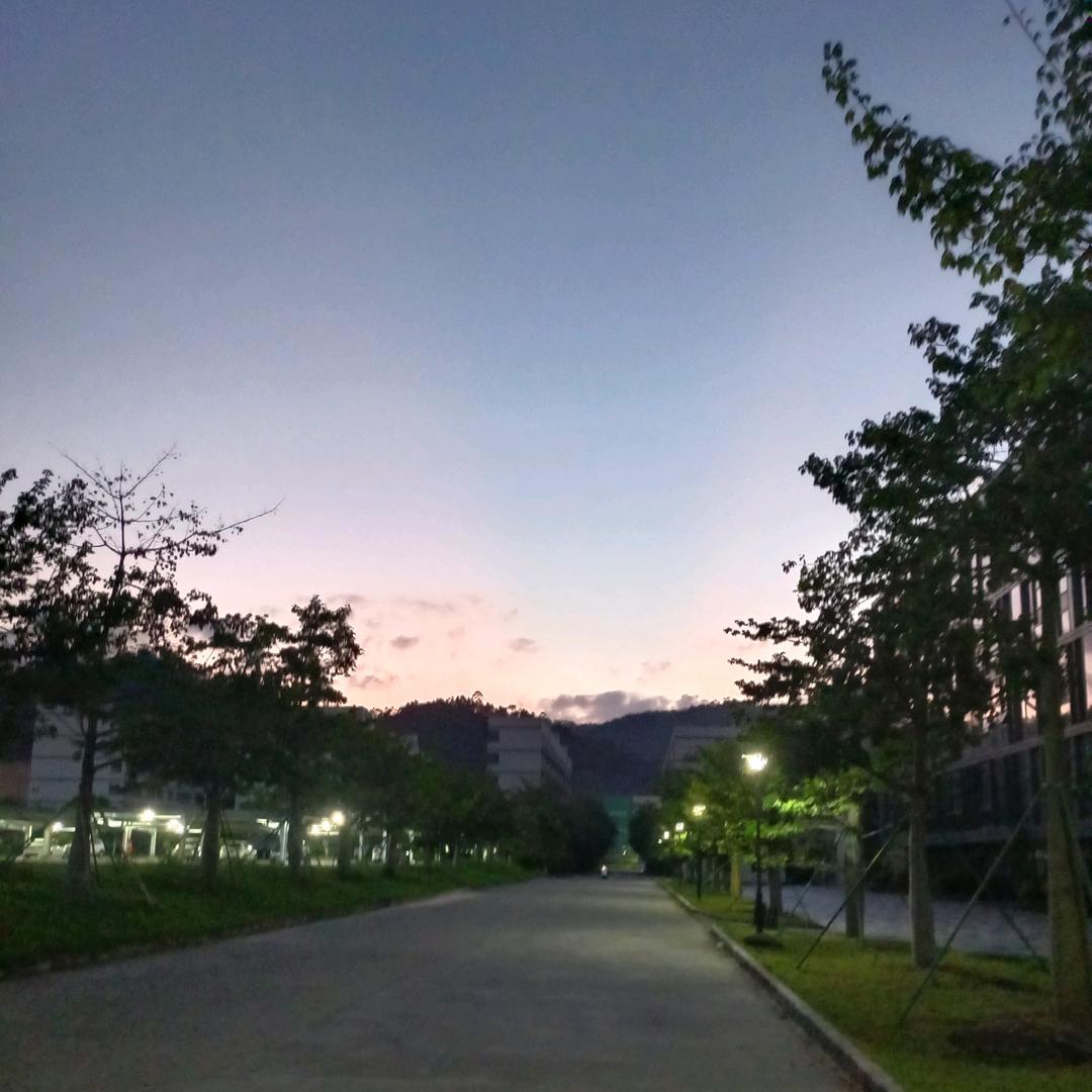 你的世界我不懂