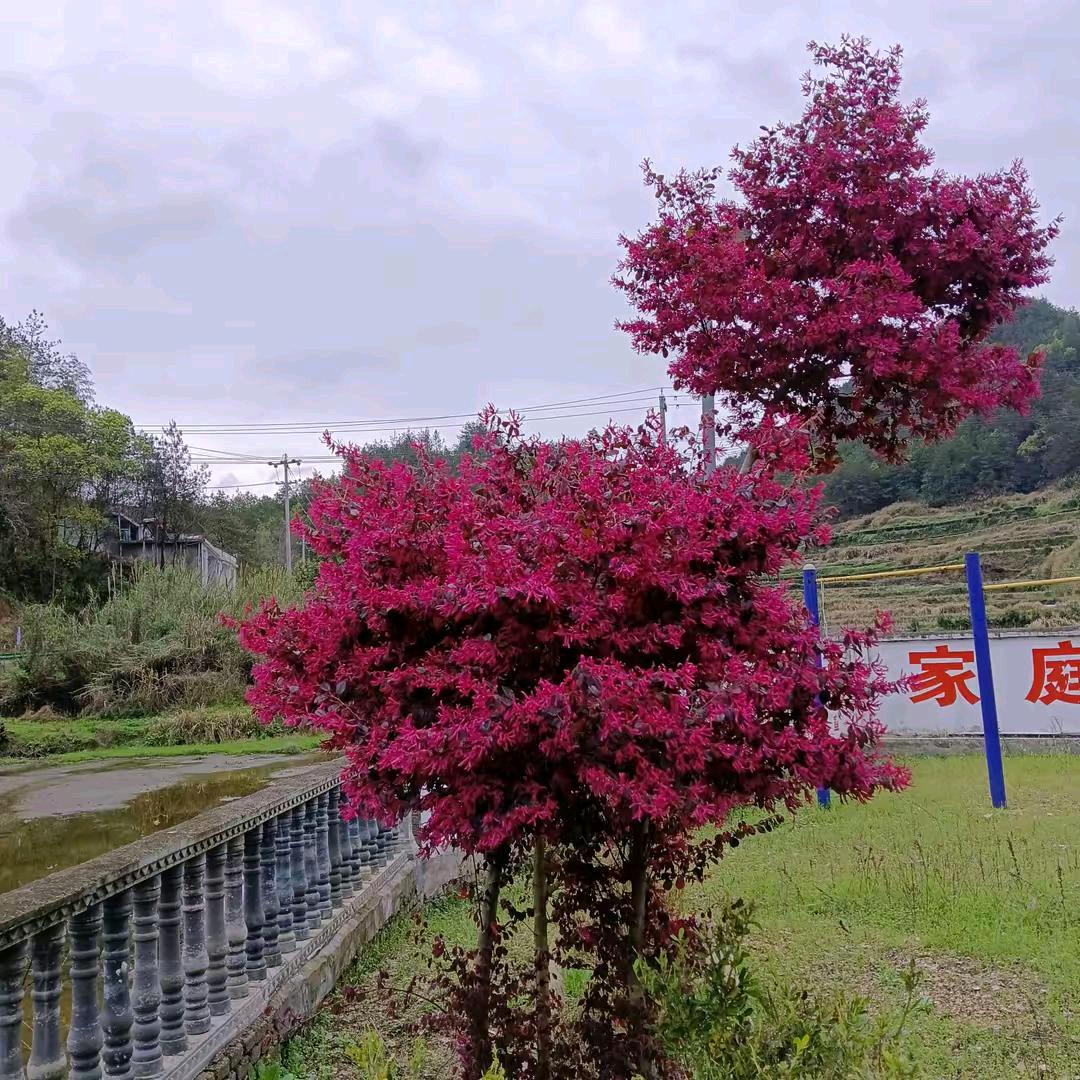 幸福一家人