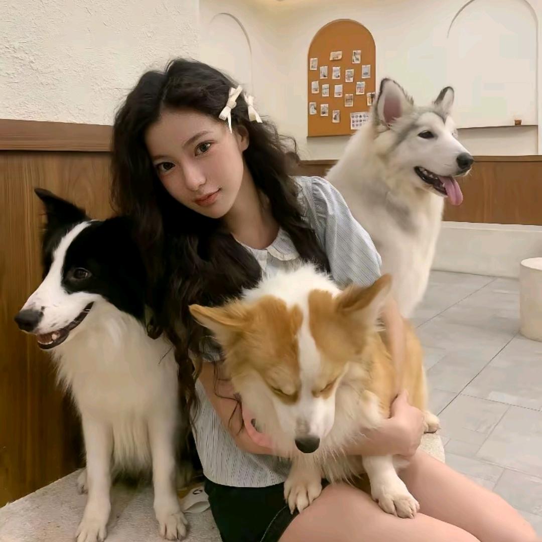 玫瑰沦陷海边🐯