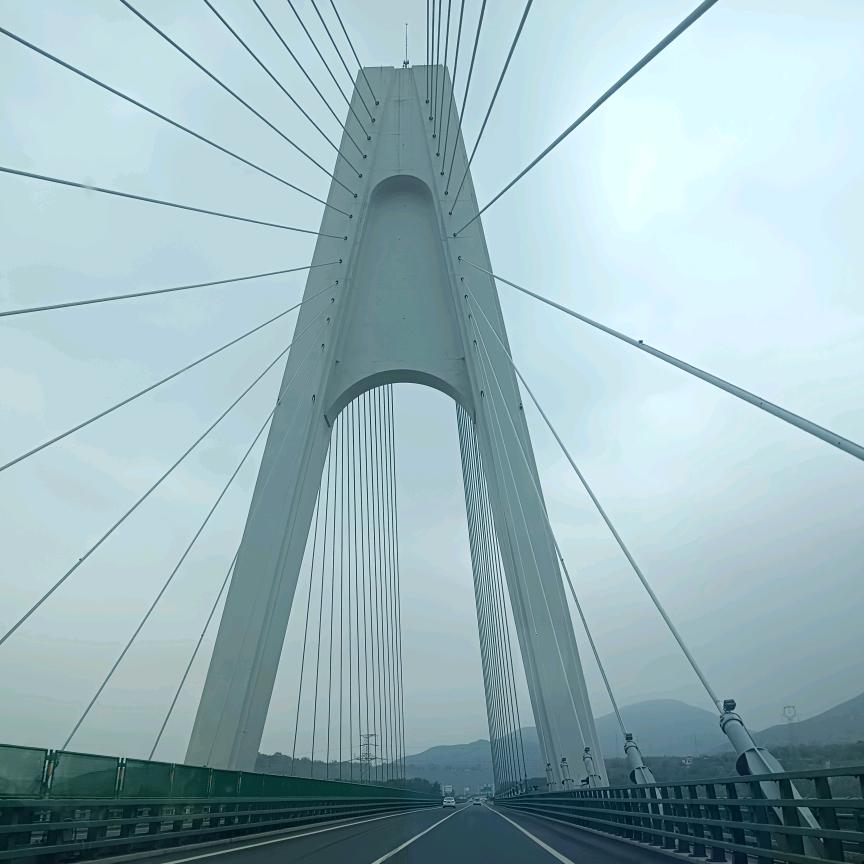 不要闯进本小姐的世界