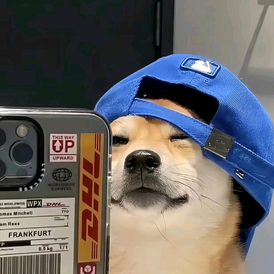 沐月