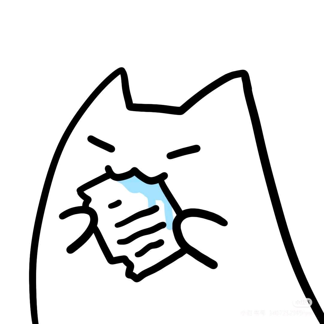 小猫不说话