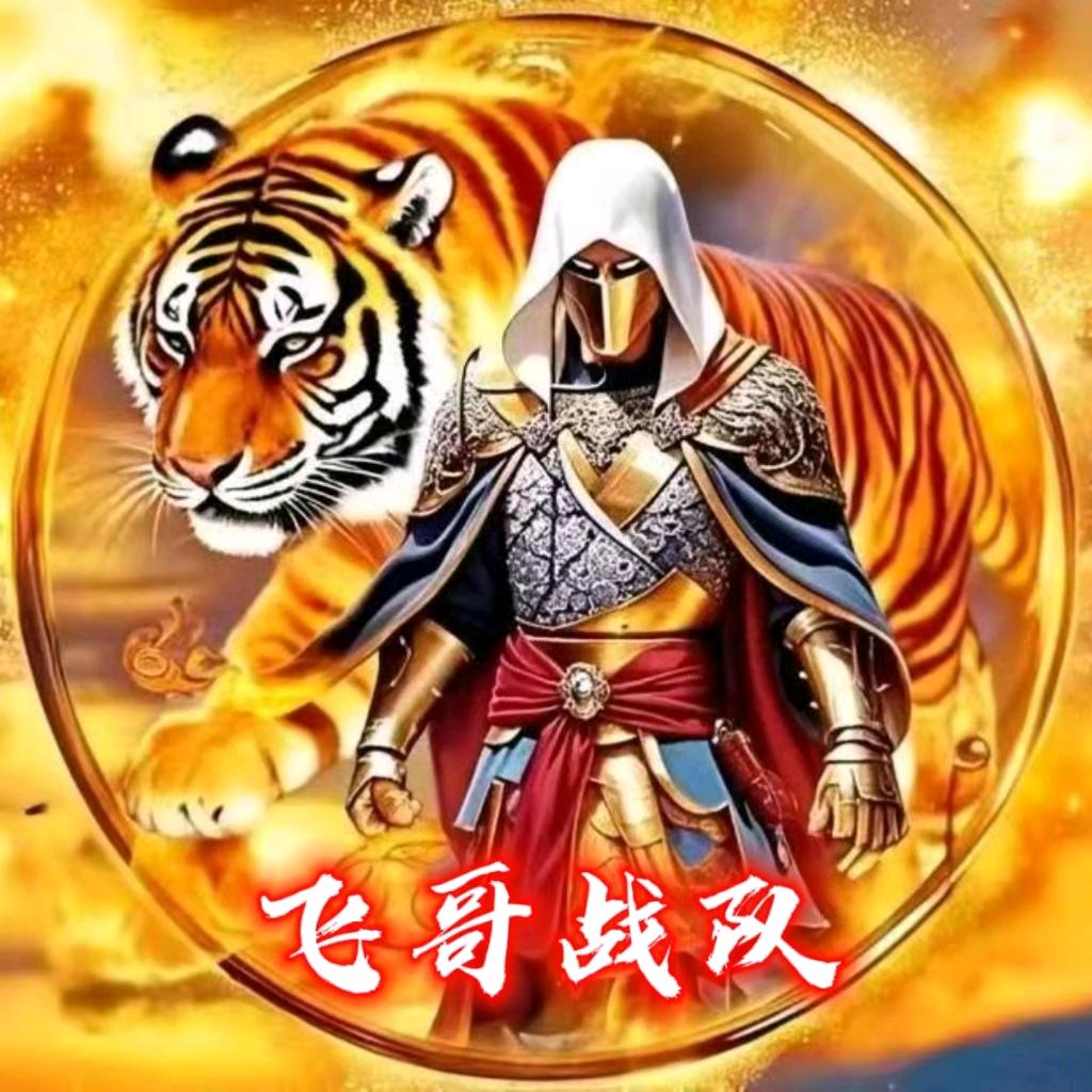 飞哥战队