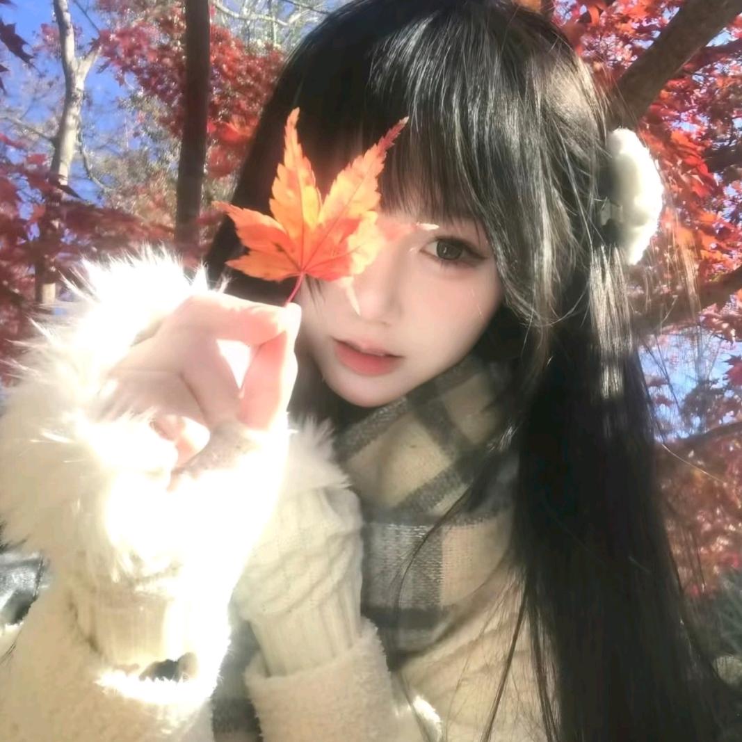 🍁