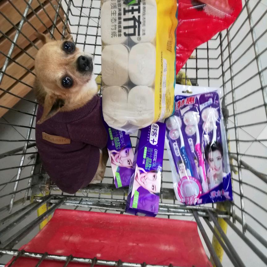 毛豆·红色小说汇