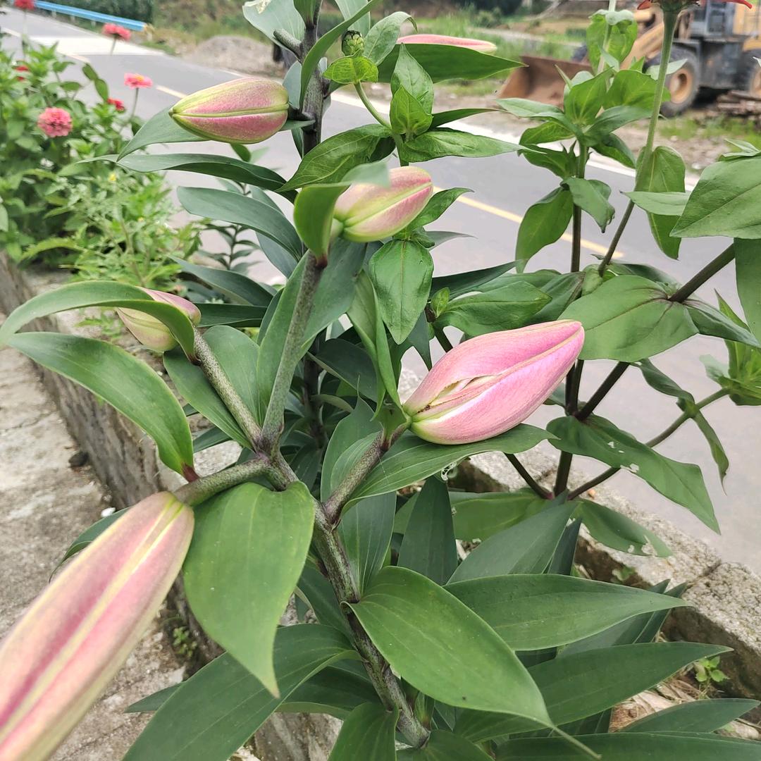 风清说事