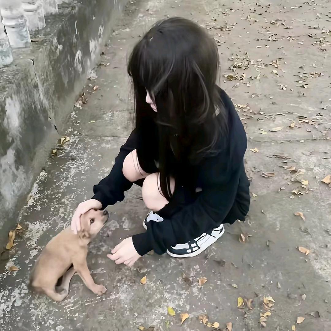 泪