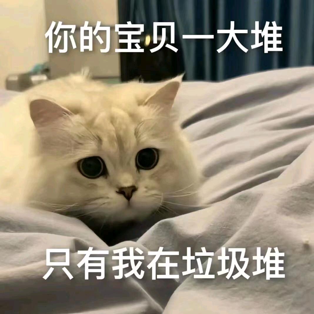 永远的Rose