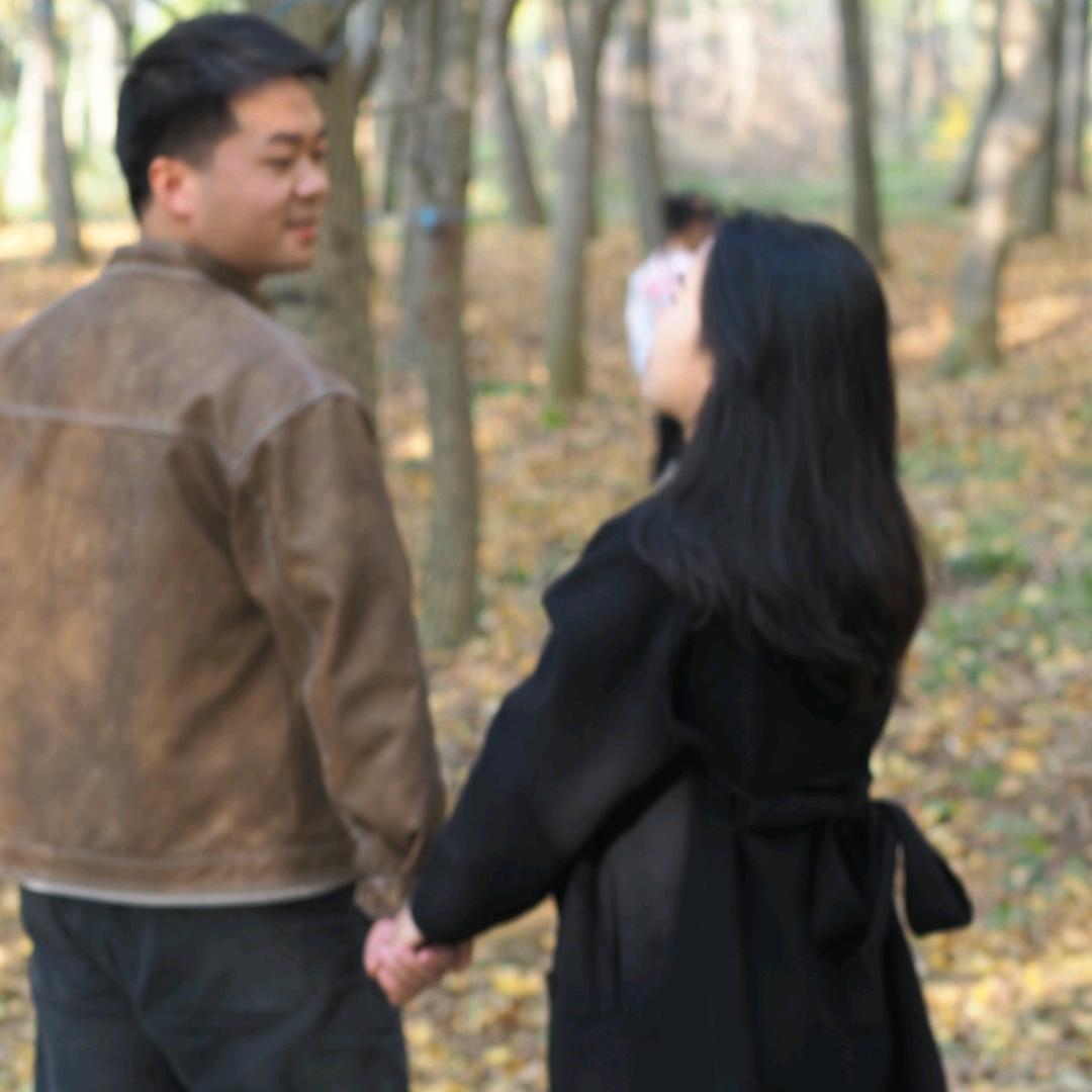清风徐来♬