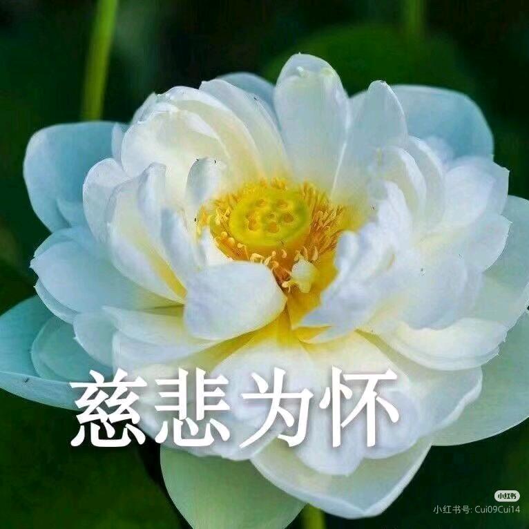 秀秀