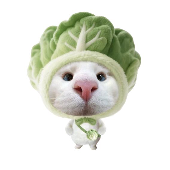 骑白菜🥬去上学