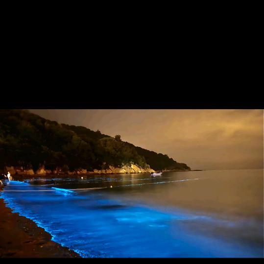 🫧🫧🫧泡沫🫧🫧🫧