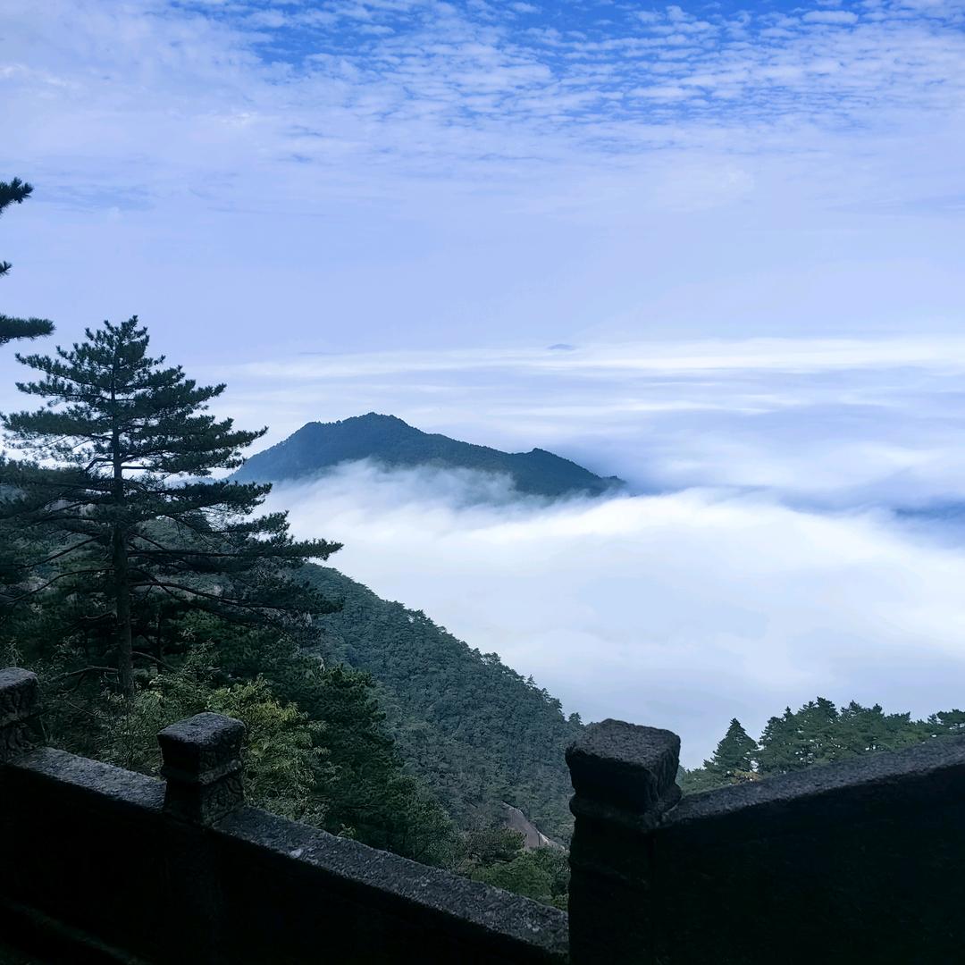 （格式化～自己）