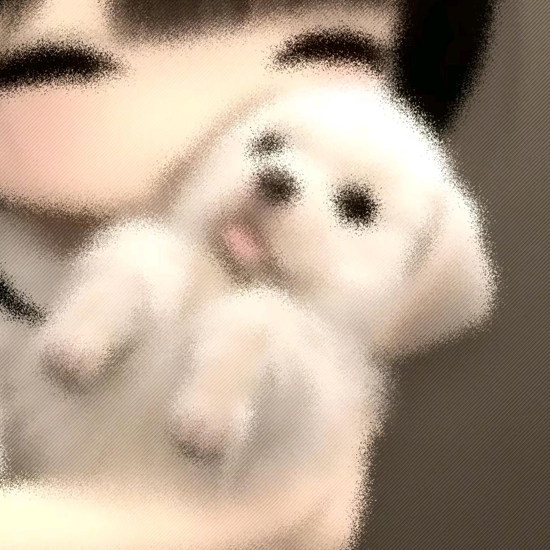，。