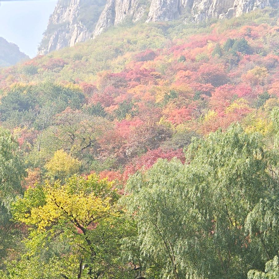 圆满