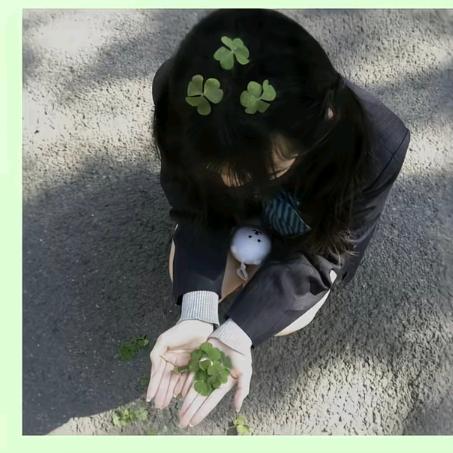 半只淑熊ʕ ᵔᴥᵔ ʔ