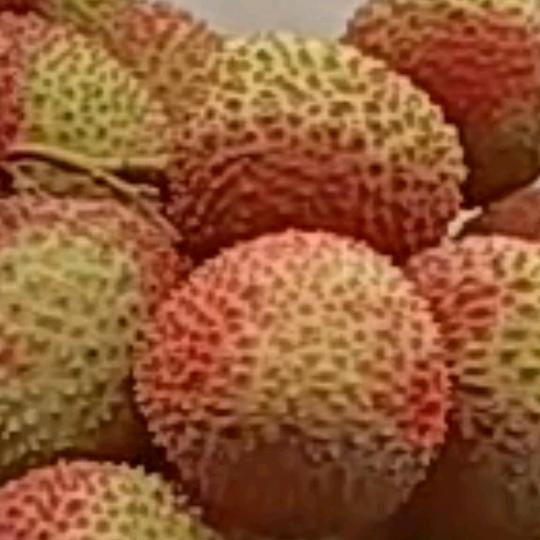 心想事成