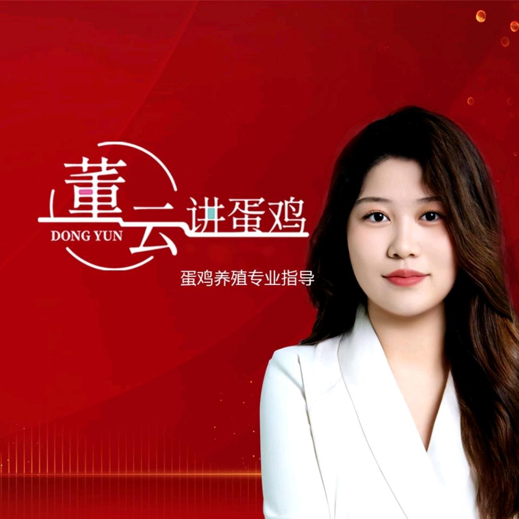 董云讲蛋鸡 妍妍