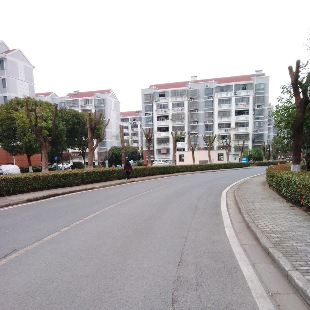忘不掉的曾经