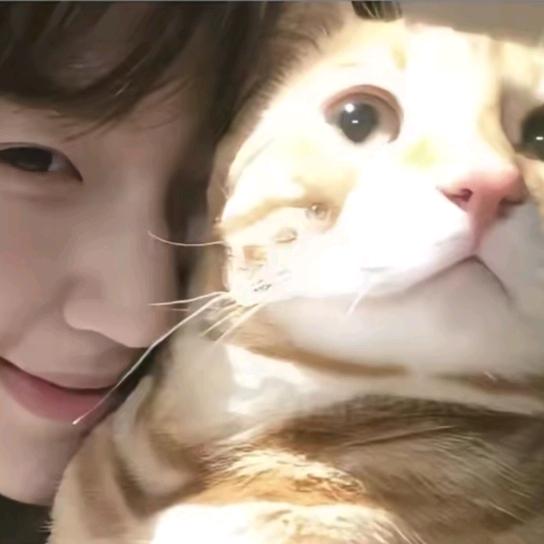 晚上不加班