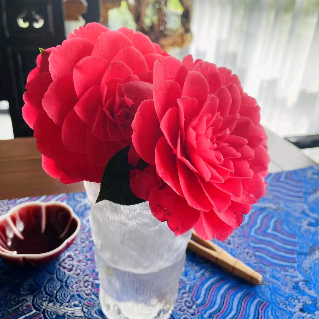 jie1357900