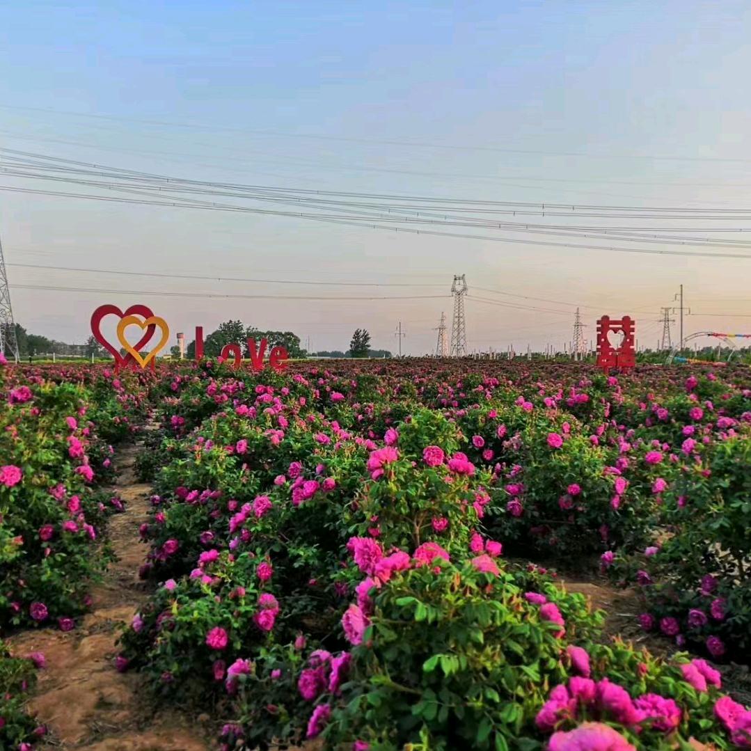 🐉朱❤️事❤️顺意❤️