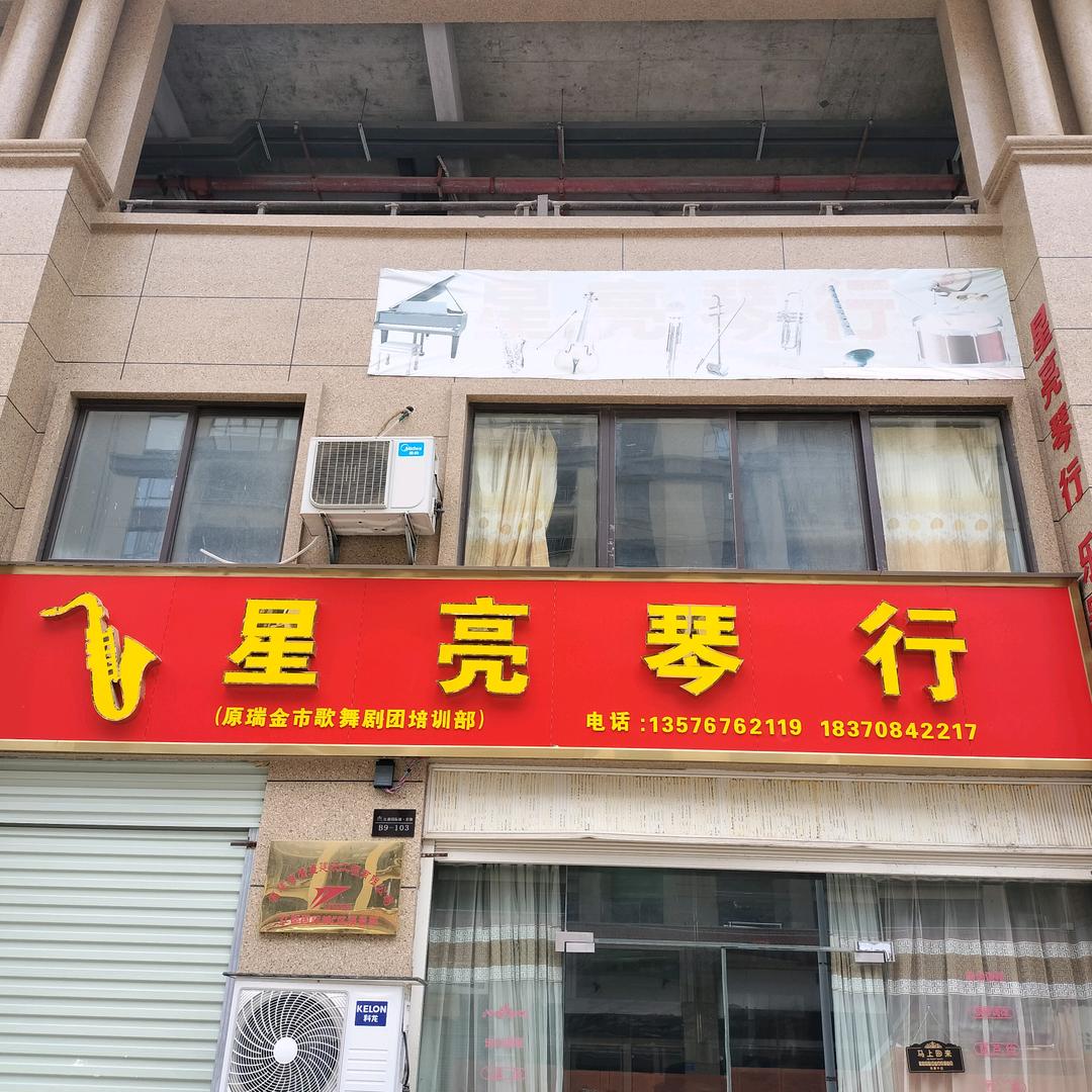 瑞金市乐器培训 指导
