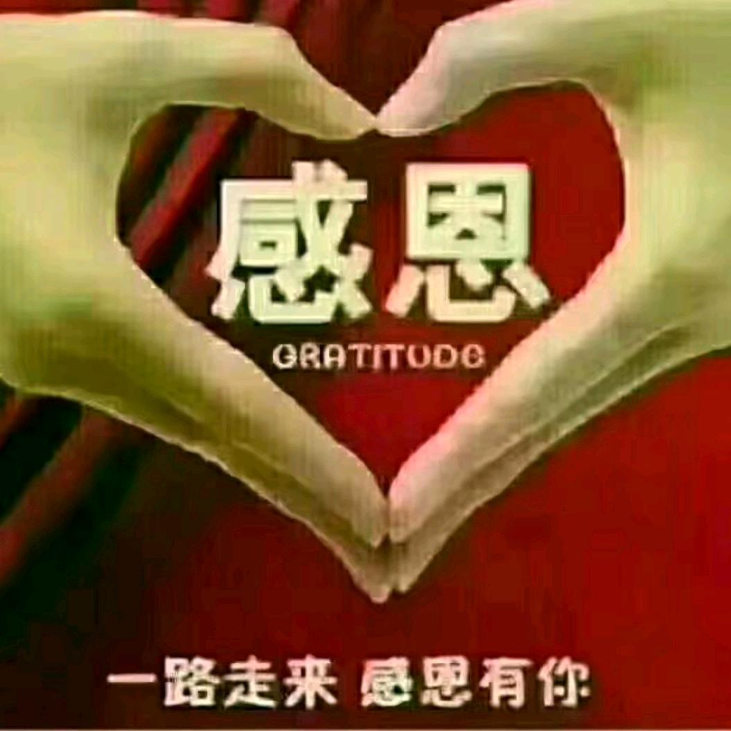 冷眼看世界
