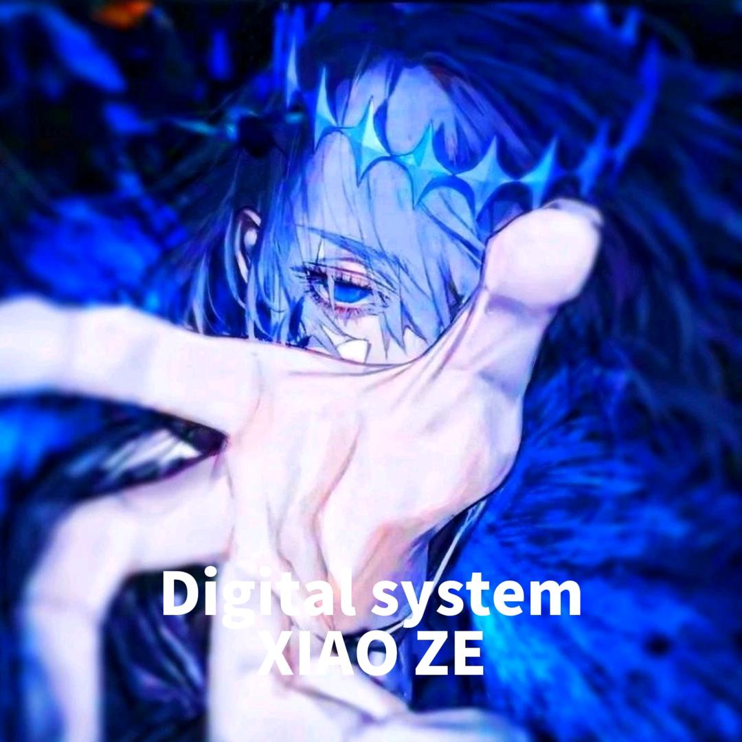数码系统小仄
