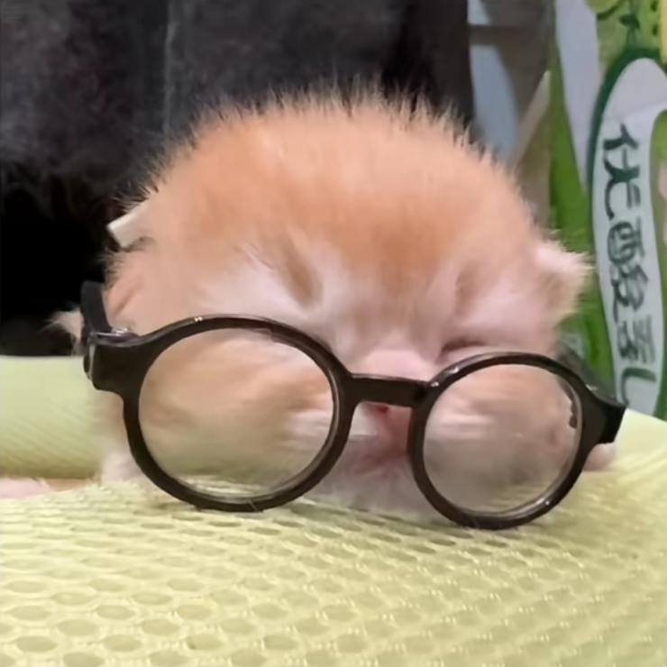 深秋艺