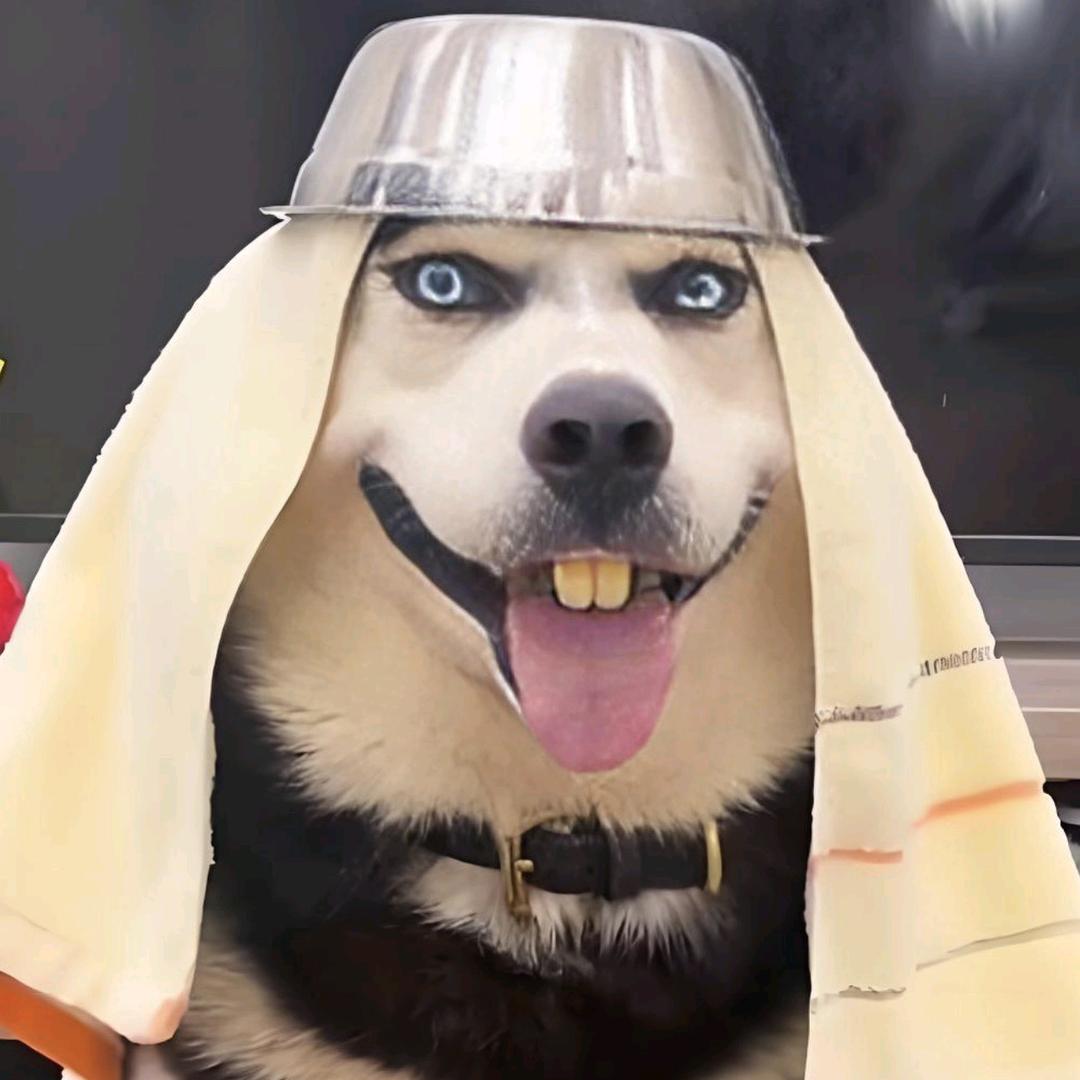 零下37是我男人