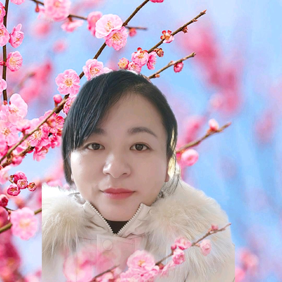 琼姐
