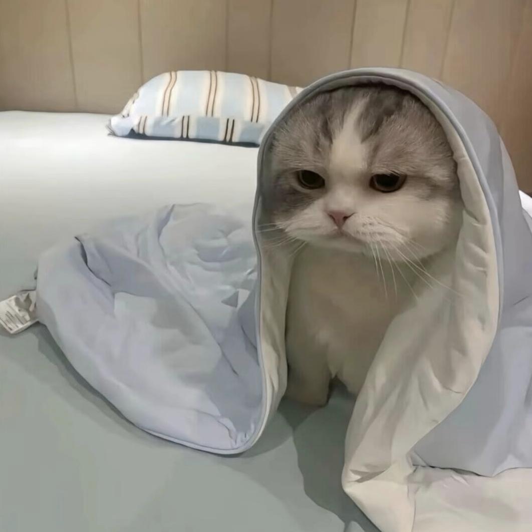 诶嘿～