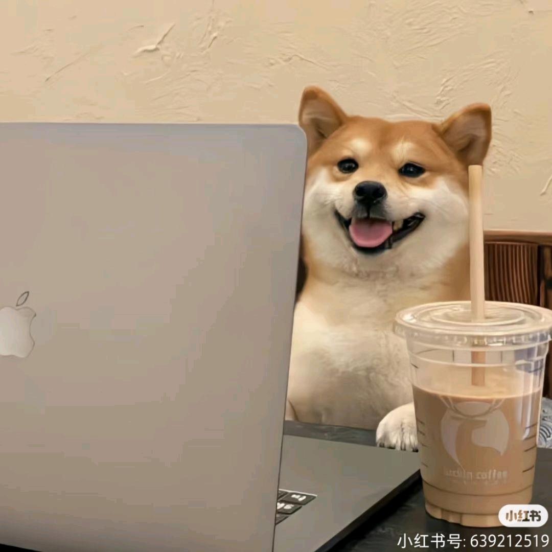 爱吃折耳根