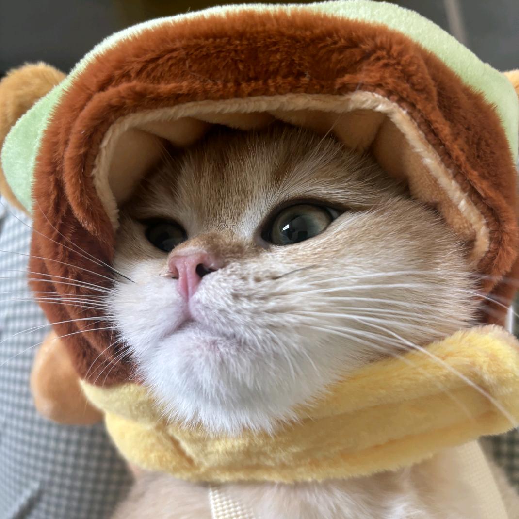 放屁给小王吃☀️