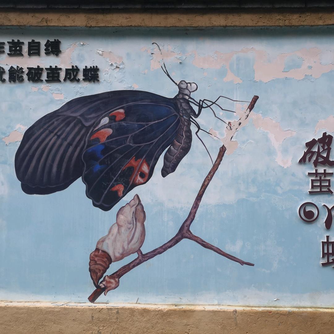 旧城旧巷旧时光