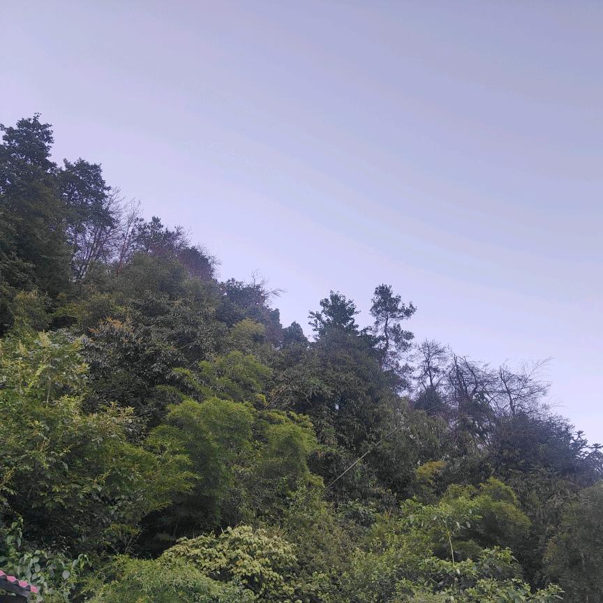 维山生态养殖