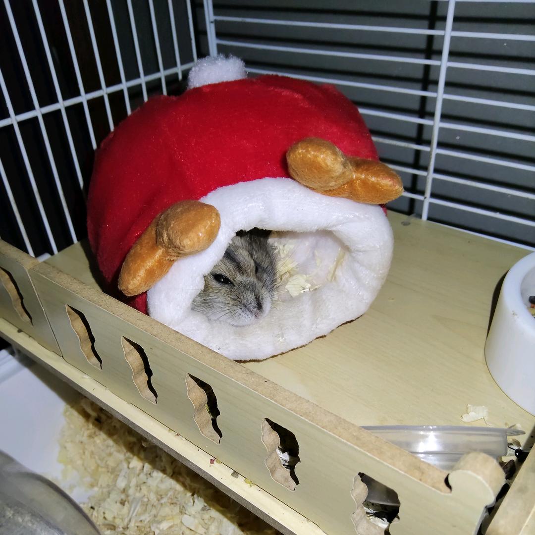 明镜亦非台