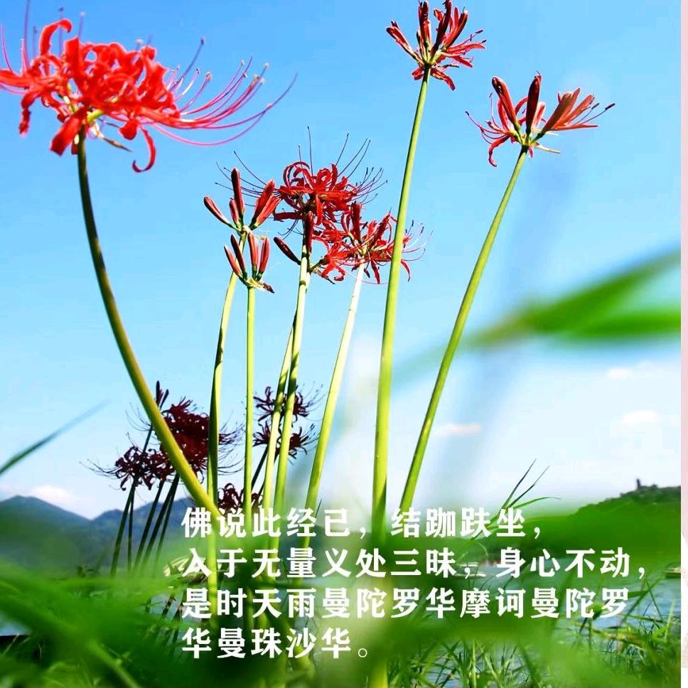 🔥清清的💥🎤💥泉水🔥
