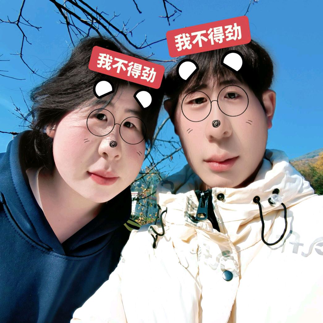 琴        .