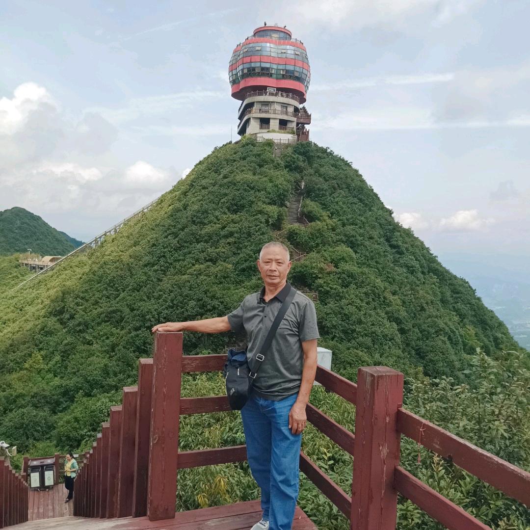 杨国富