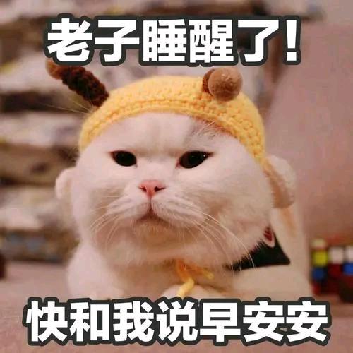 账夫