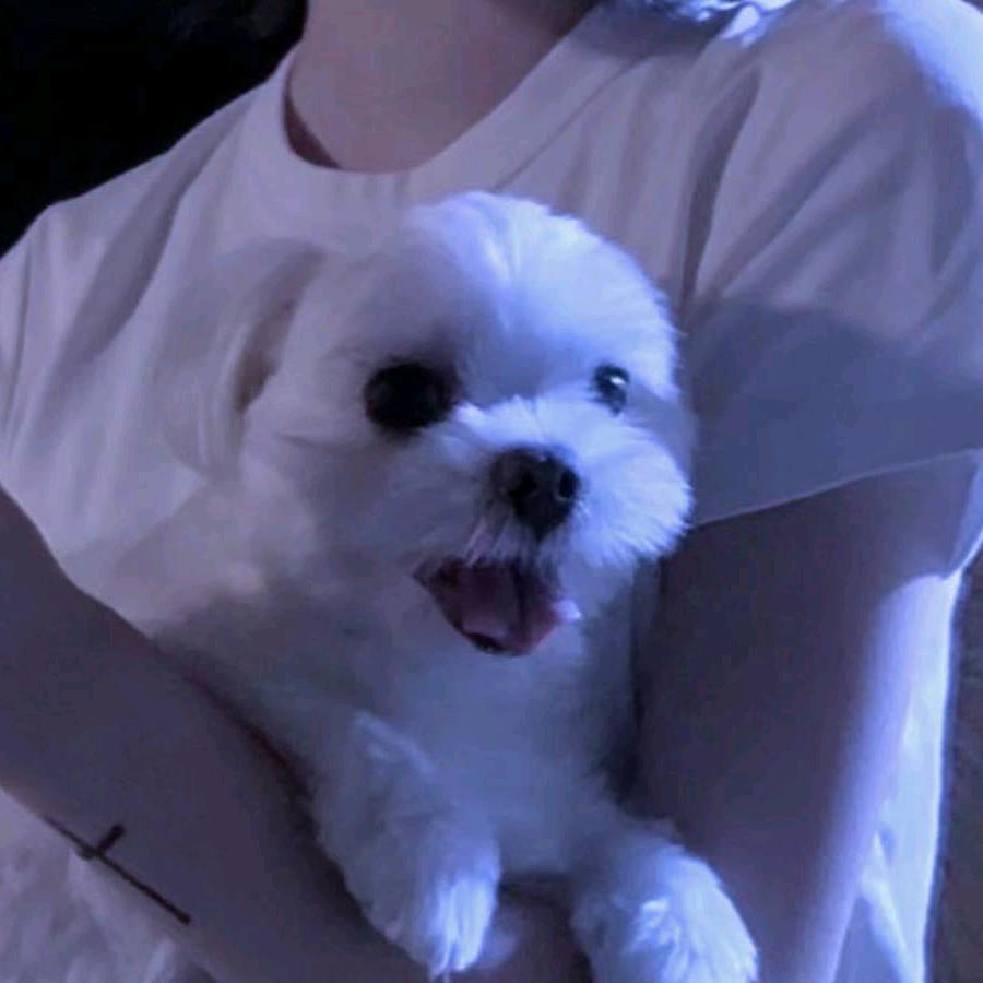 一只乌云。