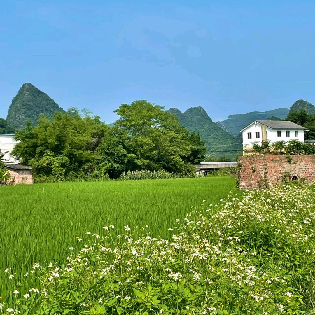 后知后觉