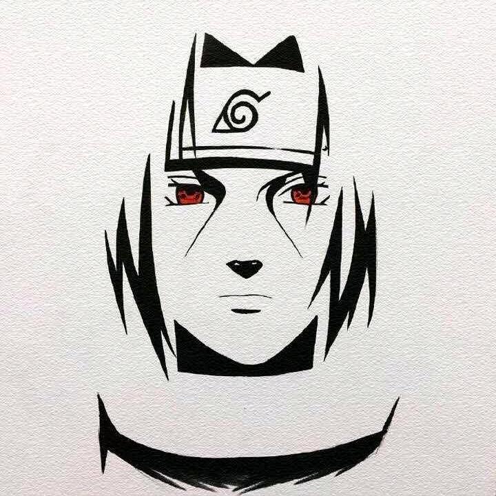 🌈echo,