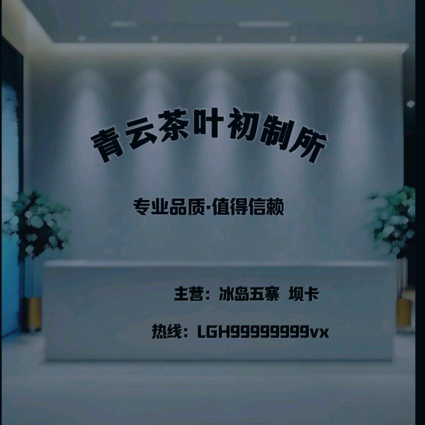 青云茶业初制所【青云凯】🍵