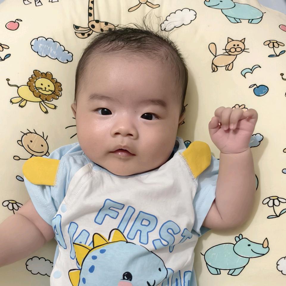 多米的成长日记