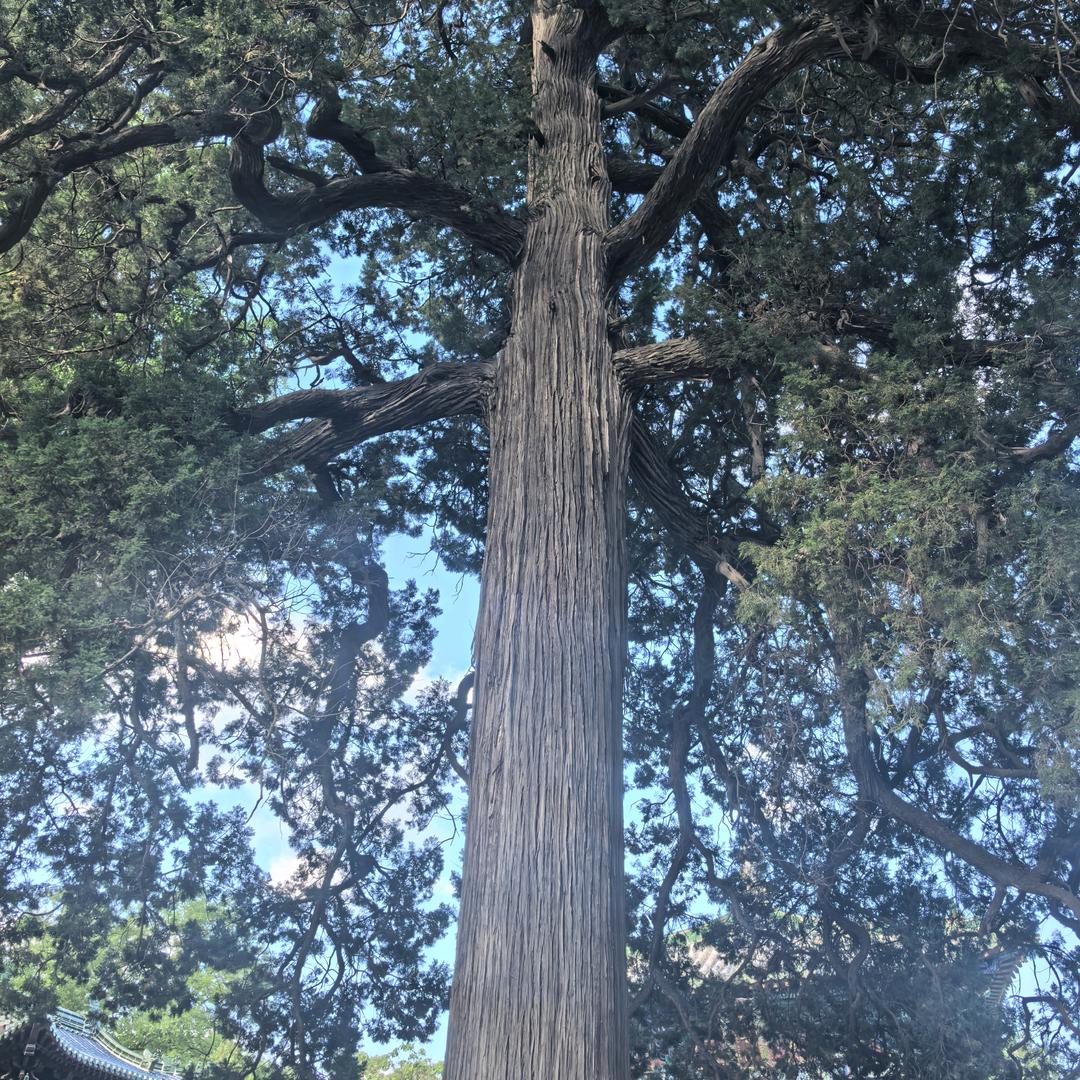 去看看美国的太阳